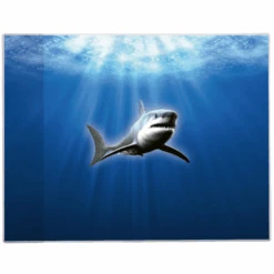 Goldbuch Schreibunterlage Hai